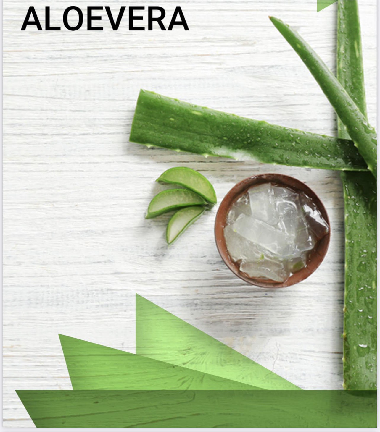 Kannacher GmbH: Zuverlssige Aloe Vera Lsungen fr Ihr Unternehmen