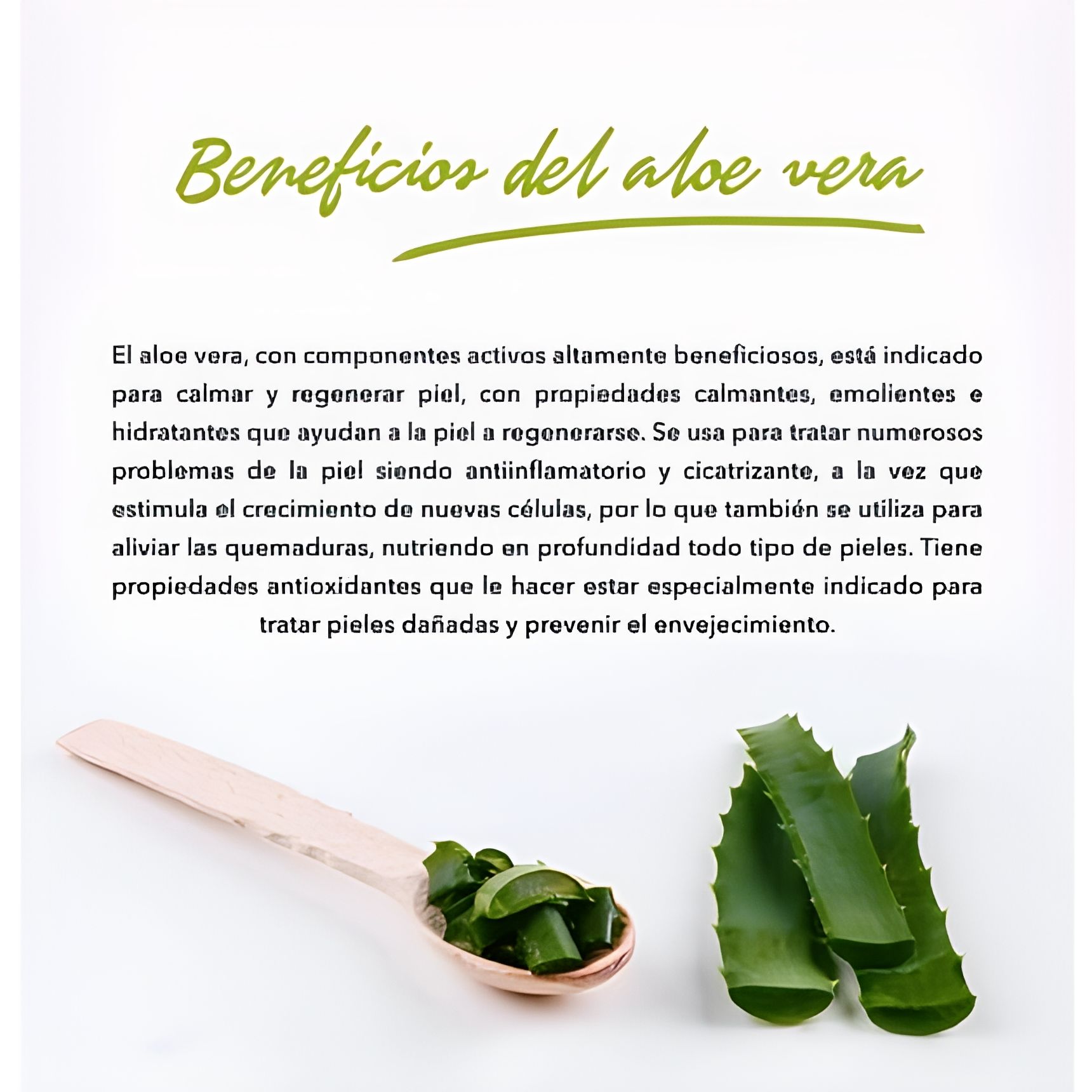 vitamin c serum aloe vera Herbal Dynamics Beauty Vitamin C 25% Rejuvenating Serum main image 1