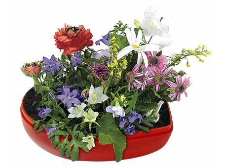 wlw.at Showroom: 19 Produkte fr kunstblumen tedi in sterreich