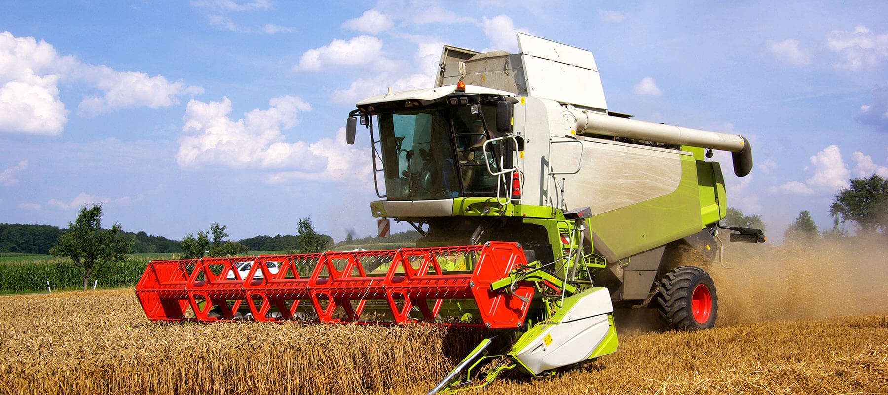 reines aloe vera gel apotheke DR. SCHELLER ALOE VERA GEL main image 1