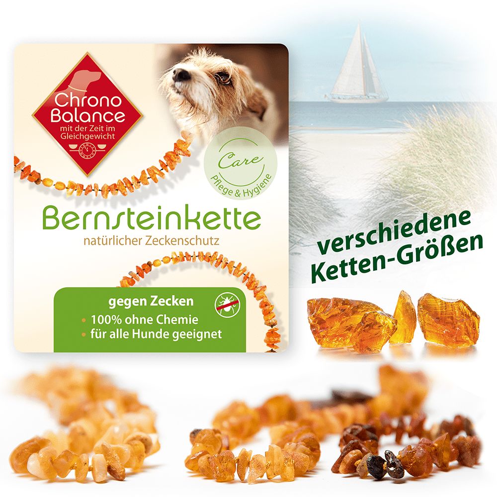 Hundefutter auf Rechnung ohne Klarna  Geprfte Lsungen | wlw