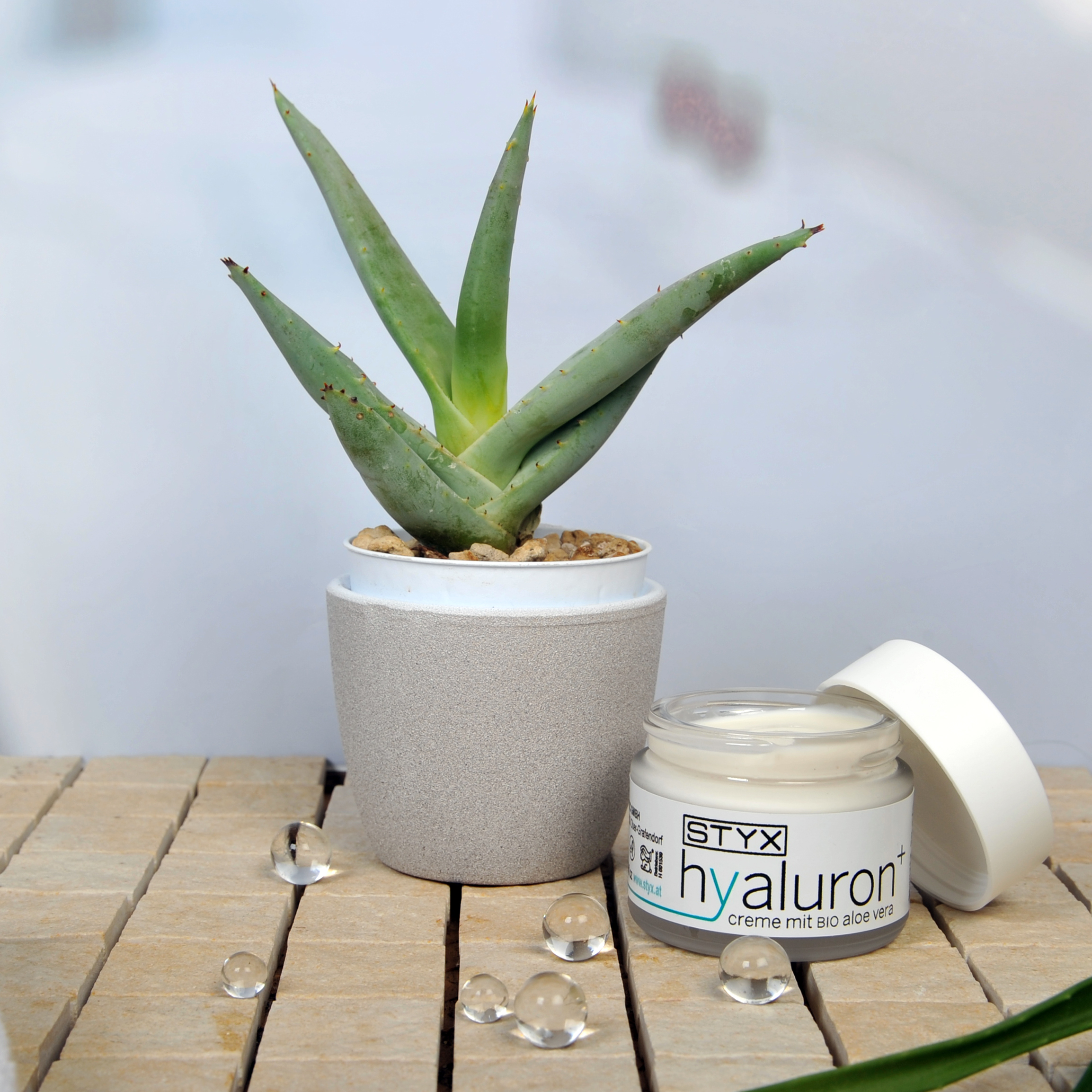 aysa skincare aloe vera  Hochwertige B2B-Produkte | wlw
