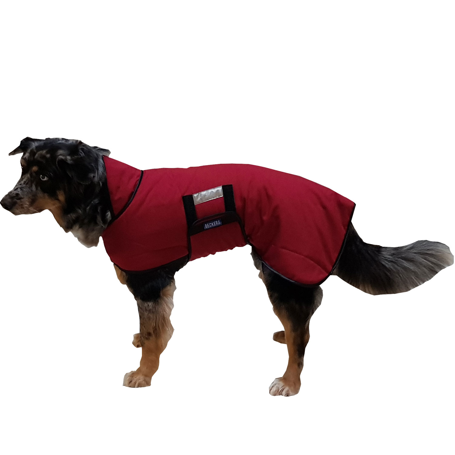hundespielzeug huhn Darthome Hundespielzeug, weich, braun, Huhn, quietschend  Neuheit