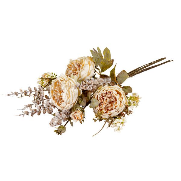portugiesischer kirschlorbeer schadbilder Jetzt Portugiesischer Kirschlorbeer 'Angustifolia' online kaufen bei  Bohlken Pflanzenversand – Bohlken Pflanzenversand GbR main image 1