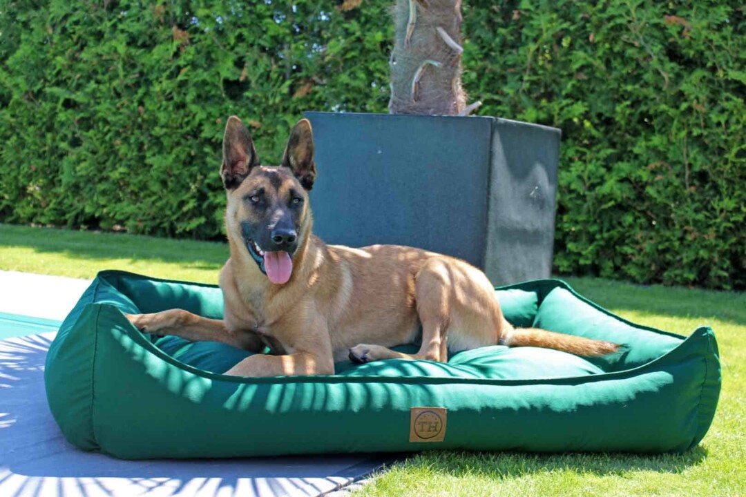 wlw.de Showroom: 37 hochwertige lidl-hundebett-fuer-draussen-Lsungen fr  Ihr Unternehmen