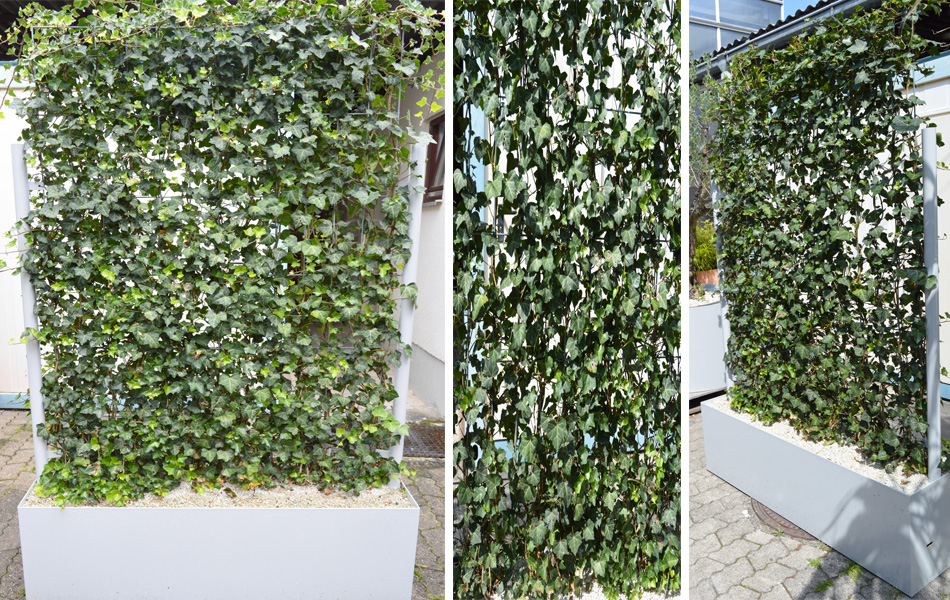 Bella Planta Kunstpflanzen GmbH Kunstpflanzenanbieter Jchen