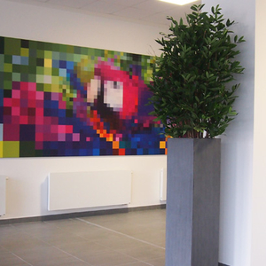 Bella Planta Kunstpflanzen GmbH Kunstpflanzenanbieter Jchen