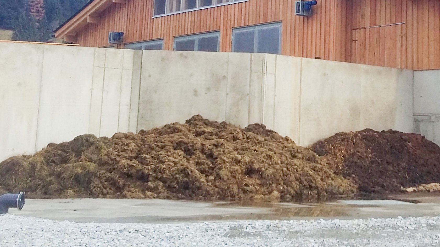 heidelbeer dünger bio Purgrün Bio-Heidelbeerdünger 1 Liter